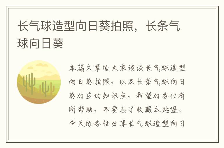 长气球造型向日葵拍照，长条气球向日葵