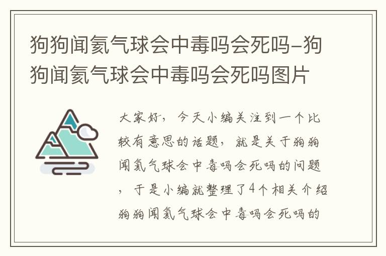 狗狗闻氦气球会中毒吗会死吗-狗狗闻氦气球会中毒吗会死吗图片