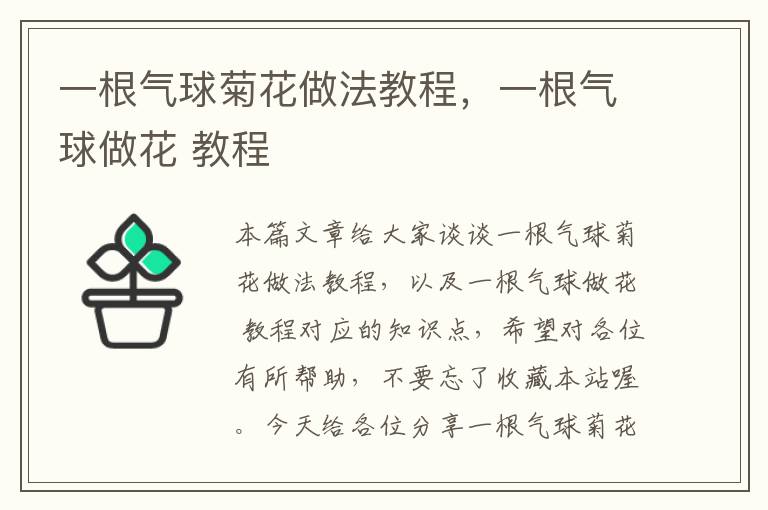 一根气球菊花做法教程，一根气球做花 教程