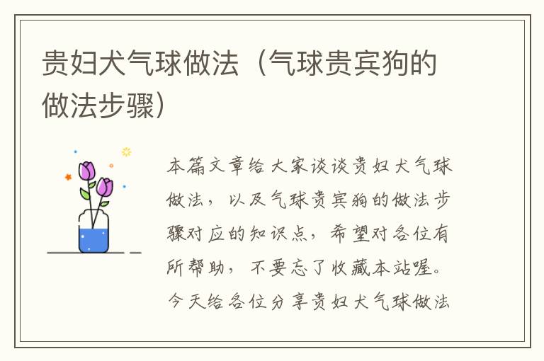 贵妇犬气球做法（气球贵宾狗的做法步骤）