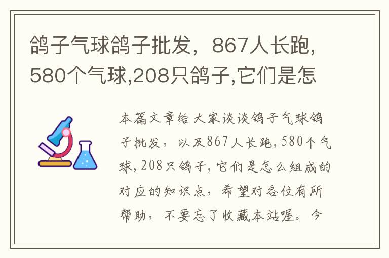 鸽子气球鸽子批发，867人长跑,580个气球,208只鸽子,它们是怎么组成的