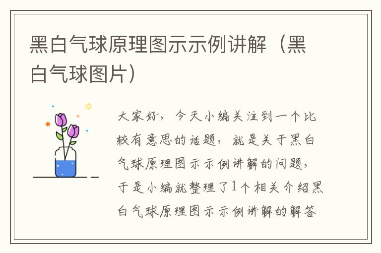 黑白气球原理图示示例讲解（黑白气球图片）