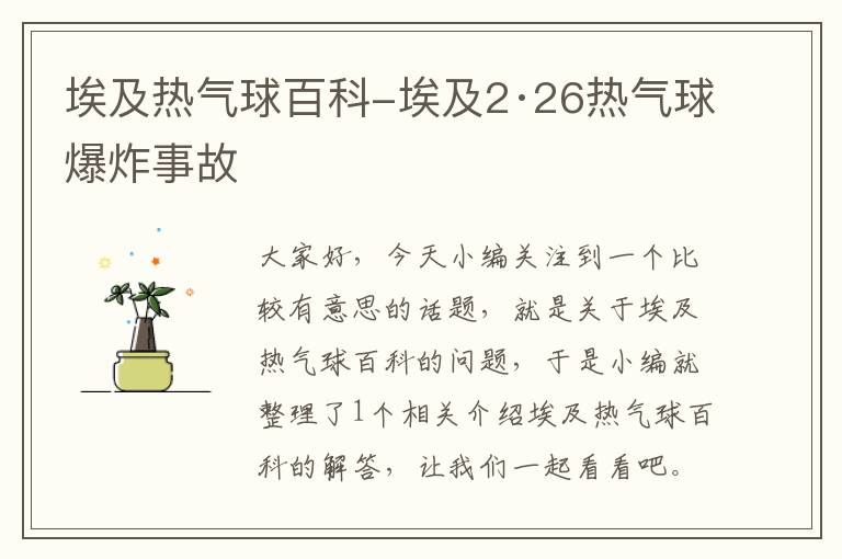 埃及热气球百科-埃及2·26热气球爆炸事故