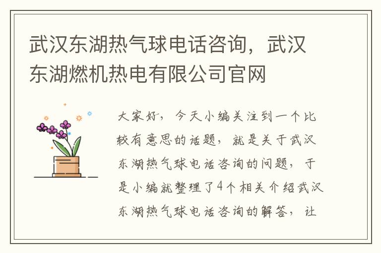 武汉东湖热气球电话咨询，武汉东湖燃机热电有限公司官网