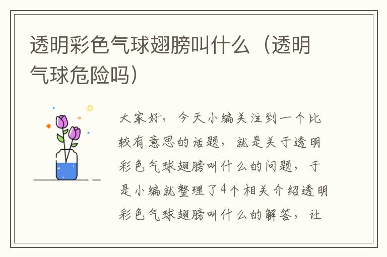 透明彩色气球翅膀叫什么（透明气球危险吗）