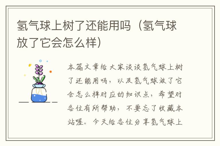 氢气球上树了还能用吗（氢气球放了它会怎么样）