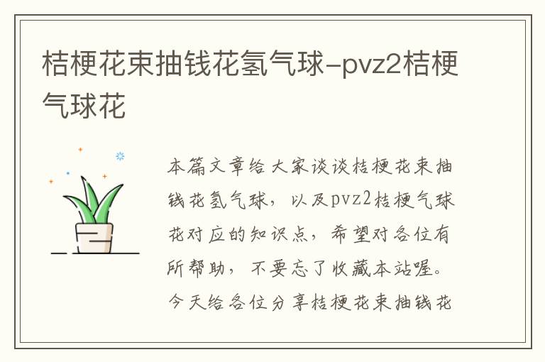 桔梗花束抽钱花氢气球-pvz2桔梗气球花