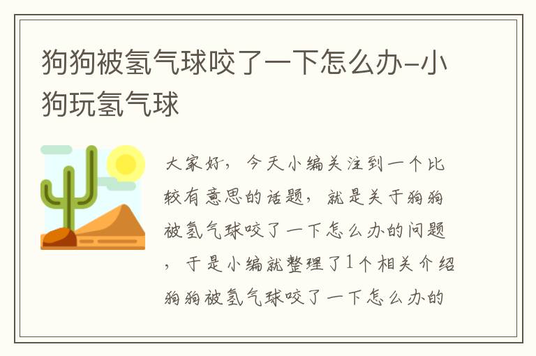 狗狗被氢气球咬了一下怎么办-小狗玩氢气球