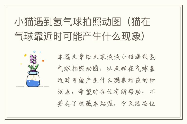 小猫遇到氢气球拍照动图（猫在气球靠近时可能产生什么现象）