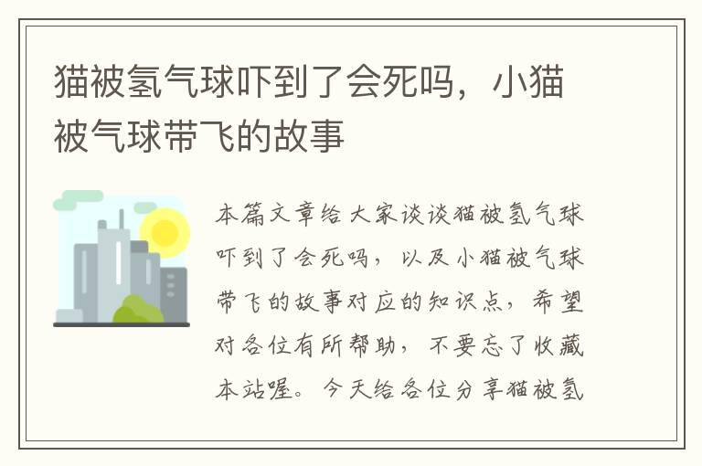 猫被氢气球吓到了会死吗，小猫被气球带飞的故事